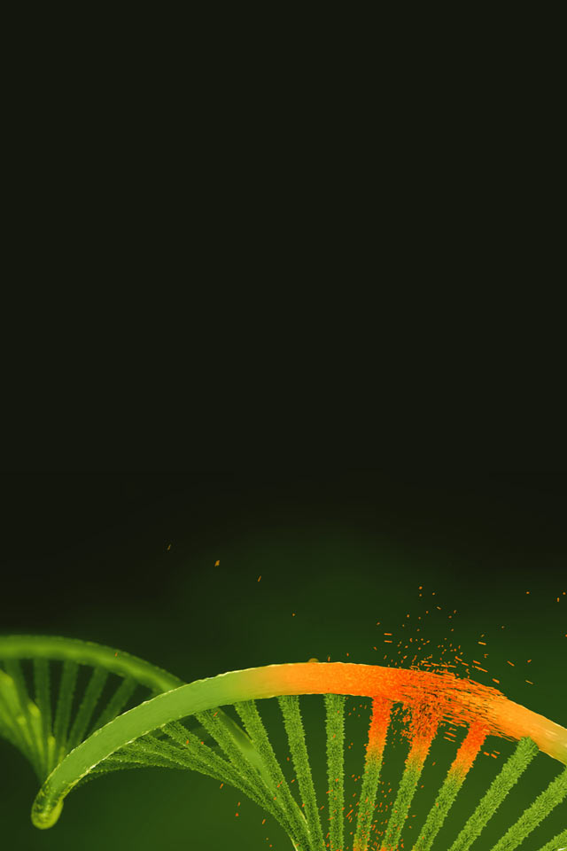 DNA