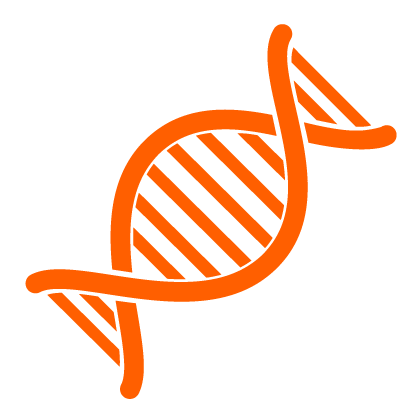DNA interference