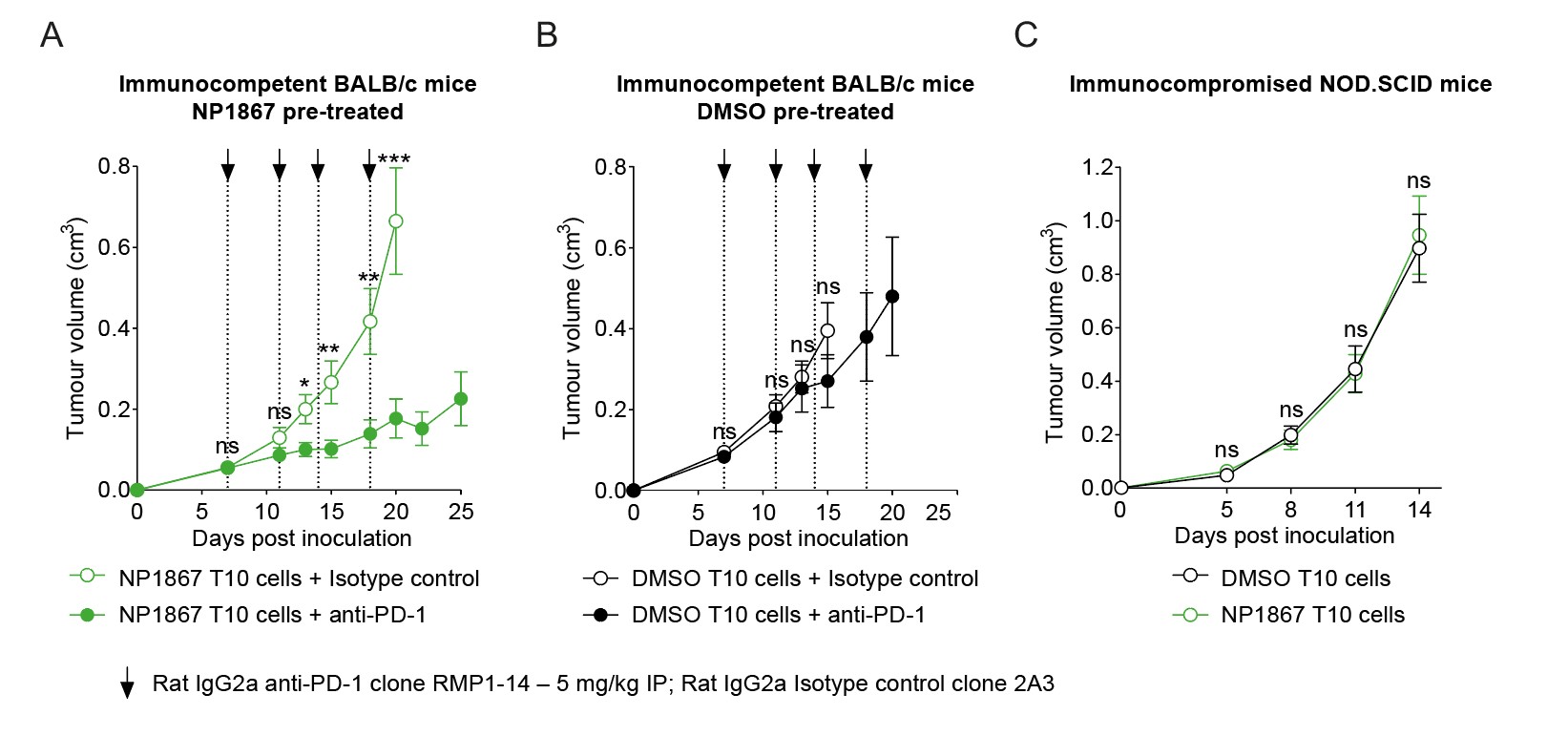 Figure 4 